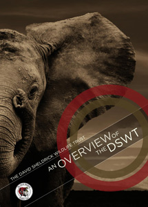 The DSWT 2014 Newsletter , DSWT Overview , and An African Love Story