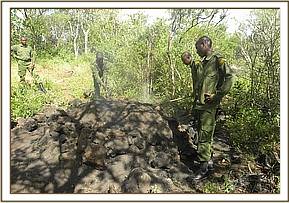 Charcol kiln at Kari