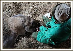 Getting attention from a keeper following rescue