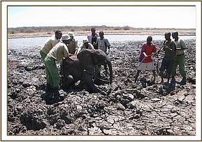 The team help her out of the mud