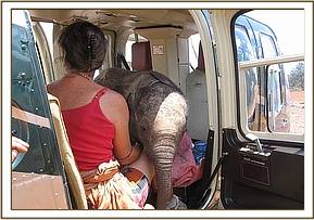 Lesanju in the helicopter held by Helen Douglas-D