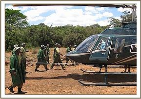 The arrival of little Lesanju