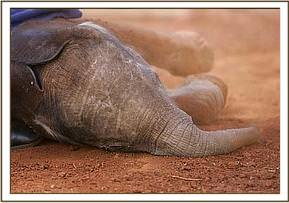 Lesanju in the dust