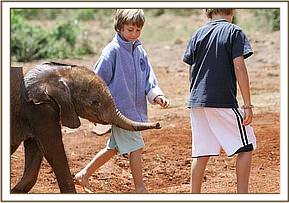 Lesanju following Angela's sons Roan and Taru