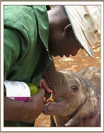 Lasanju takes her first bottle of milk