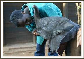 Baby Wendi and Julius