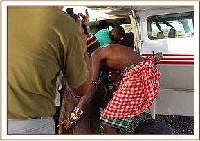 Tomboi is loaded into the Cessna 206