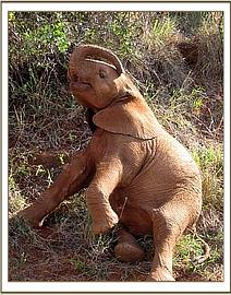 Madiba clowning around