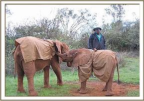 Naserian and Jipe in their raincoats