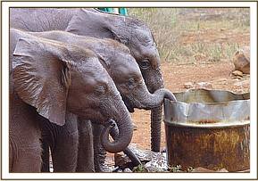 Taita in the center