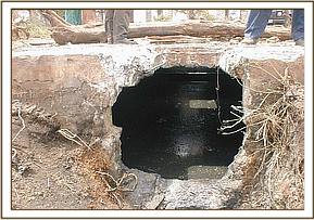 With the help of the hotel staff a hole was hacked through the wall of the septic tank in order to pull the calf out