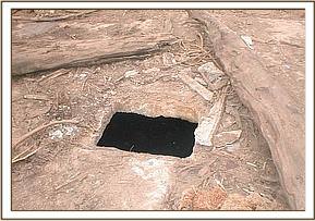 Taita slipped through this tiny hole into the septic tank