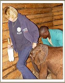 Madiba settles into his stable