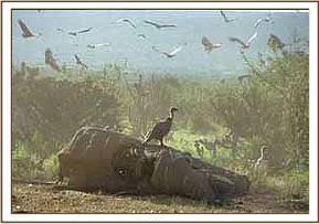 Mpala's dead mother found 2 weeks before he was found