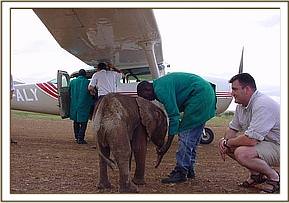 She is happy to follow anyone as the plane is prepared for the return flight