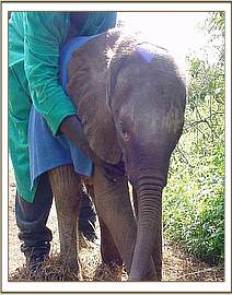 Sunyei on her first day in the nursery