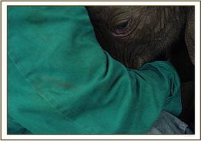 Throughout the flight she nestles close to the Keepers