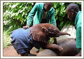 Sunyei playing with her Keepers