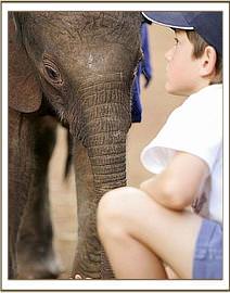 Taru Carr-Hartley with little Lempaute