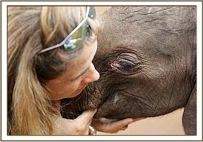 Angela Sheldrick and Lempaute