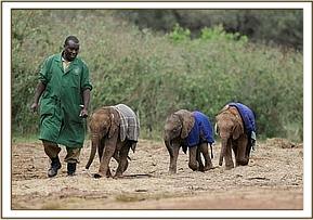 Three tiny babies, hopefully they will grow up together and be lifelong friends