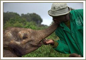 Orwa with Julius