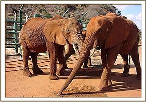 Aitong, Sally and Emily