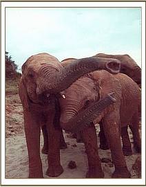 Emily and Aitong