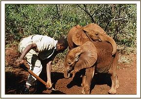 Emily and Imenti May 1994