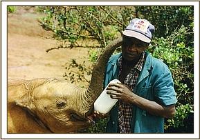 Ajok jhaving his milk