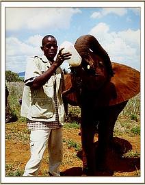 Laikipia having milk