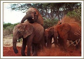 Aitong, Edo, Lewa and Emily