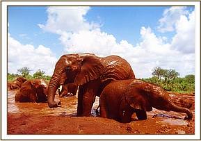 Emily, Aitong and Lolokwe