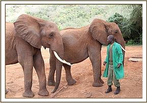 Some of the ex orphans