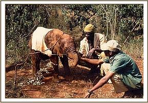 Emily with two of her keepers