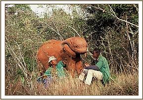 Ajok with two of his keepers