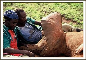 Relaxing with the keepers