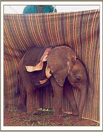 Kinna and her blanket