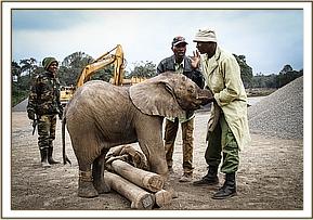 Merru seeking comfort from the DSWT Keeper