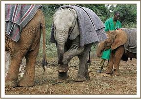 Sinya with her new nursery friends