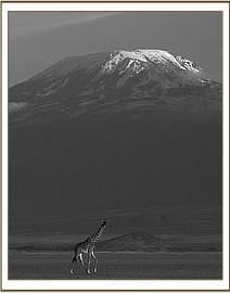 Kilimanjaro Amboseli National Park