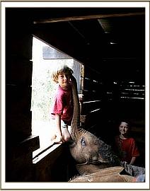 Roan and Taru with the little girls, Lesanju and Lempaute