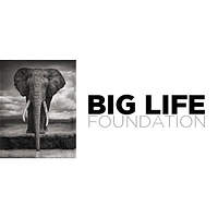 Big Life Foundation logo