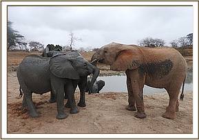 Orwa talking to Lemoyian