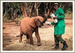Ambo and his Keeper