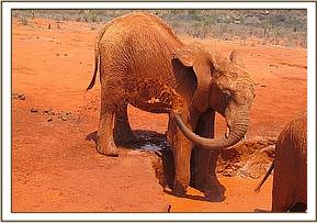 Lesanju splashing water on herself