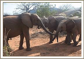 Orwa says hi to the orphans