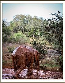 Enkesha looking so muddy