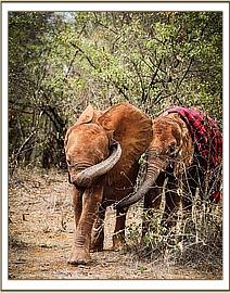Maisha and Emoli behind