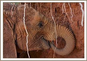 Lualeni at the red earth wall